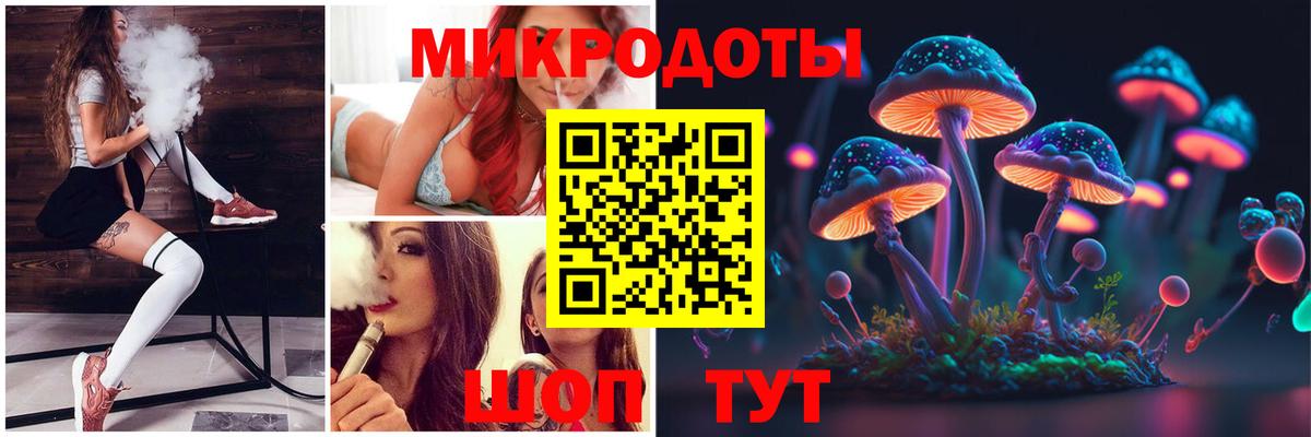 Псилоцибиновые грибы Psilocybe Усолье-Сибирское