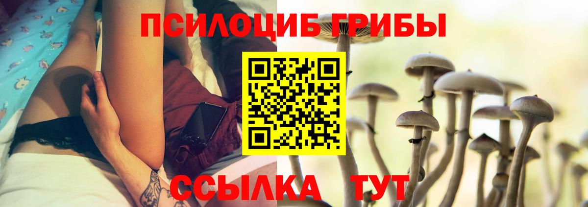 Усолье-Сибирское  Псилоцибиновые грибы Psilocybe  даркнет сайт  Вход с VPN  Галлюциногенные грибы Psilocybine cubensis 